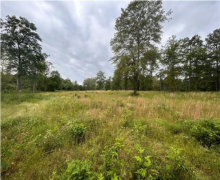 elanlari alqi satqisi elanlari Lənkəran ş.