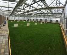 Satılır Obyekt Türkan, Xəzər r.