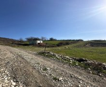 ismayillida torpaq alqi satqisi İsmayıllı ş.