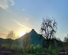 elanlari alqi satqisi elanlari Oğuz ş.