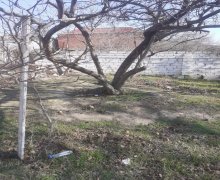 elanlari alqi satqisi elanlari Binəqədi r.