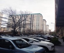 genclikde evlerin qiymeti Gənclik m., Nəsimi r.