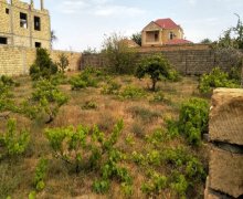 novxanida torpaq satilir Novxanı, Abşeron r.