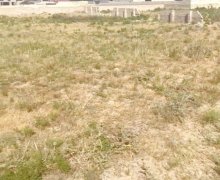 Satılır Torpaq Masazır, Abşeron r.