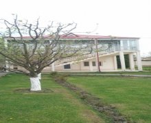 Kirayə (aylıq) Həyət evi/villa Quba ş.