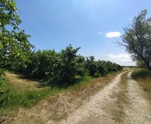 xacmazda torpaq alqi satqisi Xaçmaz ş.