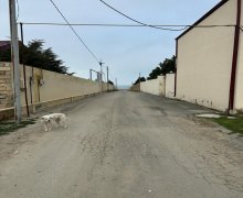 qurd deresi torpaq alqi satqisi Sumqayıt ş.