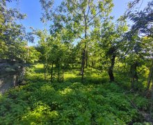 Satılır Torpaq Qax ş.