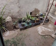 Satılır Həyət evi/villa Azadlıq m., Rəsulzadə qəs., Binəqədi r.