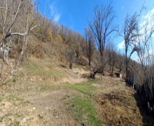 Satılır Torpaq Qəbələ ş.