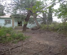 elanlari alqi satqisi elanlari Salyan ş.