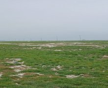 xacmazda torpaq alqi satqisi Xaçmaz ş.