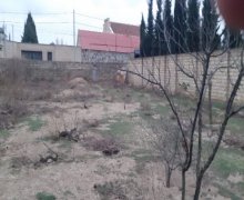 novxanida torpaq satilir Novxanı, Abşeron r.