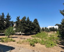 Satılır Həyət evi/villa Bilgəh qəs., Sabunçu r.