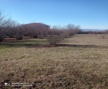 Satılır Torpaq Qəbələ ş.