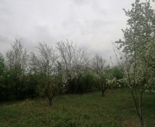 Satılır Torpaq Qusar ş.