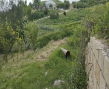 elanlari alqi satqisi elanlari Şamaxı ş.