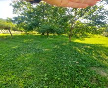 Satılır Torpaq Qəbələ ş.