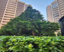 Satılır Yeni Tikili 28 May m., Nəsimi r.