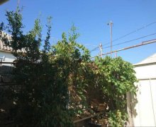 hezi aslanovda heyet evleri/villa Həzi Aslanov m., Xətai r.