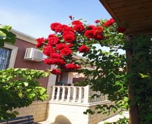 xezer rayonunda aylıq kiraye ev/villa Buzovna, Xəzər r.