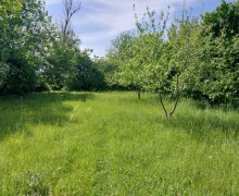 ismayillida torpaq alqi satqisi İsmayıllı ş.