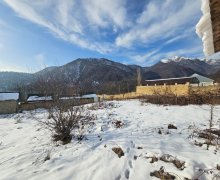 Satılır Torpaq Qəbələ ş.