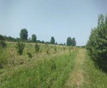 xacmazda torpaq alqi satqisi Xaçmaz ş.