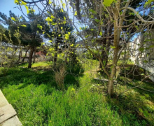 badamdar Torpaq Badamdar qəs., Səbail r.