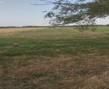 Satılır Torpaq Bərdə ş.