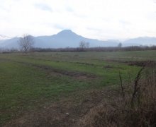 Satılır Torpaq Zaqatala ş.