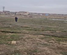 xirdalanda torpaq Xırdalan ş.