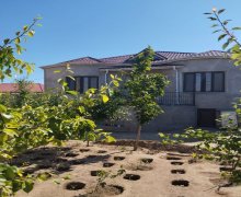 Satılır Bağ evi Bilgəh qəs., Sabunçu r.