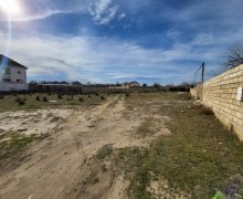 Satılır Torpaq Saray, Abşeron r.