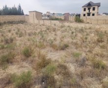 sarayda torpaq satilir Saray, Abşeron r. sarayda torpaq satilir Saray, Abşeron r.