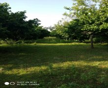 elanlari alqi satqisi elanlari Oğuz ş.