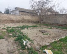 mastagada torpaq alqi satqisi Maştağa qəs., Sabunçu r.