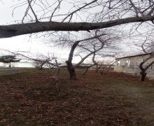 Satılır mingecevirde/villa Mingəçevir ş.