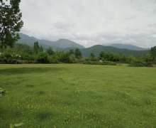 qebelede torpaq alqi satqisi Qəbələ ş.