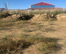 rayonlarda torpaq alqi satqisi Məhəmmədli, Abşeron r.