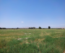 elanlari alqi satqisi elanlari Yevlax ş.