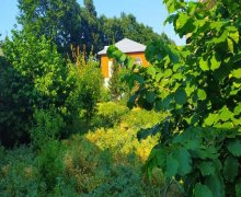 Kirayə (günlük) Həyət evi/villa Lənkəran ş. Kirayə (günlük) Həyət evi/villa Lənkəran ş.