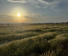 rayonlarda torpaq alqi satqisi Abşeron r.