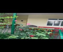 Kirayə (günlük) Bağ evi Xaçmaz / Nabran ş.