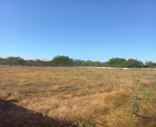 Satılır Torpaq Binə qəs., Xəzər r.