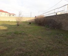 buzovnada torpaq satilir Buzovna, Xəzər r.