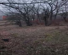 elanlari alqi satqisi elanlari Xızı ş.