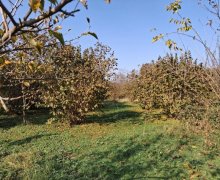 Satılır Torpaq Qəbələ ş.