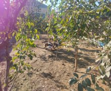 Satılır Həyət evi/villa Savalan qəs., Sabunçu r.