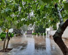 Kirayə (aylıq) Bağ evi Mərdəkan, Xəzər r.